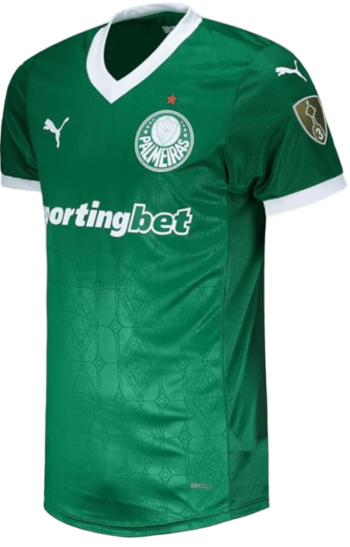 Camisa Palmeiras I 2024 Jogador